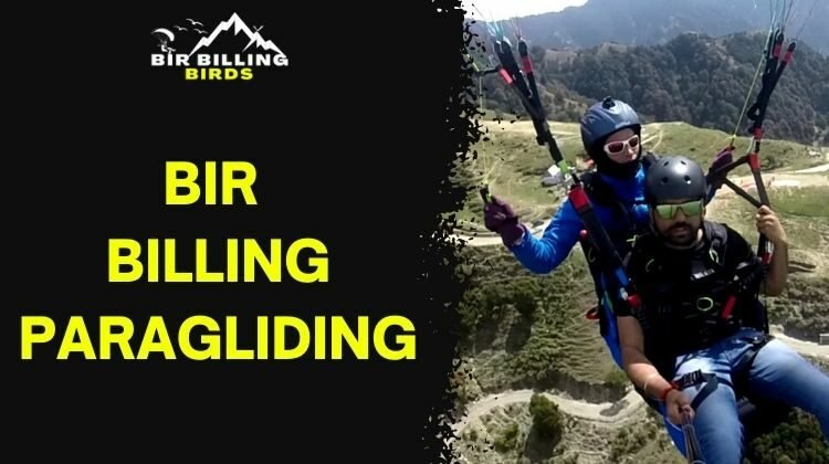 Paragliding in Bir Billing