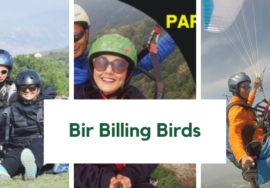 Best Paragliding in Bir Billing