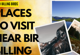 Places to visit near Bir Billing, Baijnath Temple, Andretta, Kangra Fort, Palampur, Barot Valley, McLeod Ganj, Triund, Dharamshala