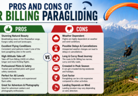 Pros and Cons of Bir Billing Paragliding