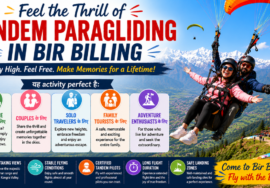 Feel the Thrill of Tandem Paragliding in Bir Billing