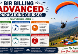 Bir Billing Advanced Paragliding Courses – Learn Cross Country and Acro Flying